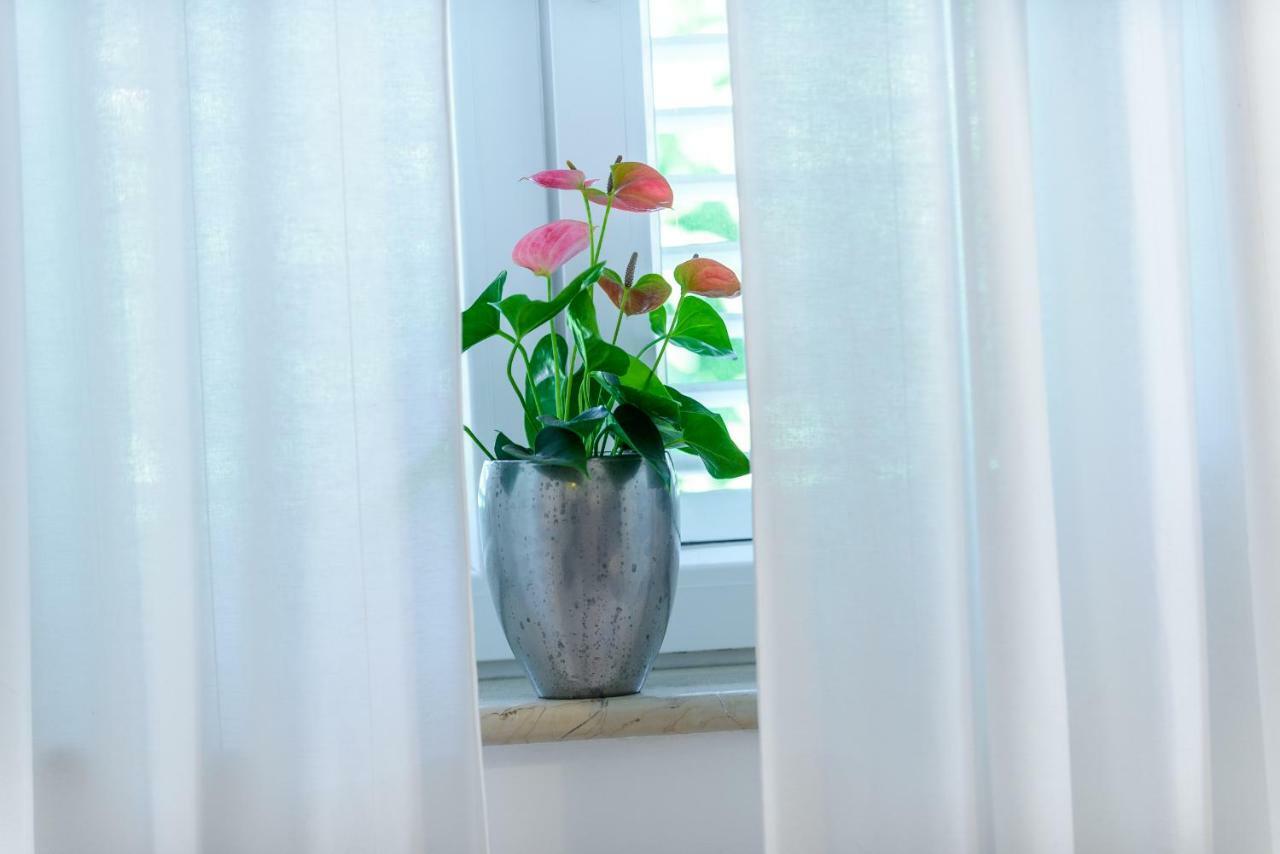 Apartment Antonella 杜布罗夫尼克 外观 照片